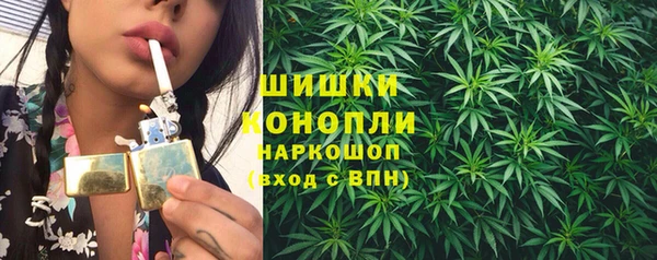 ПСИЛОЦИБИНОВЫЕ ГРИБЫ Балабаново