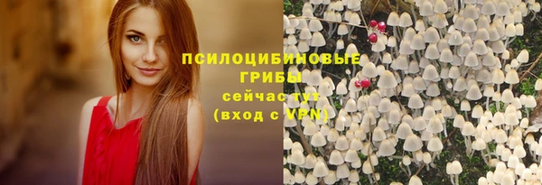 амф Баксан