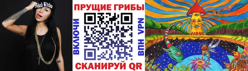 Псилоцибиновые грибы MAGIC MUSHROOMS  сколько стоит  omg зеркало  Шали 